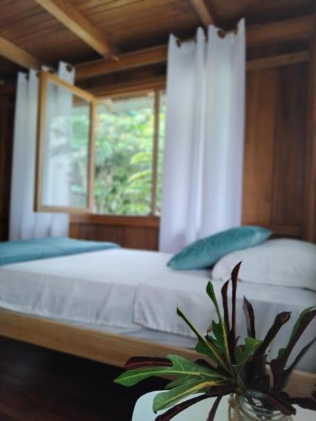 The Temple Iii, Mindo Hotel Bagian luar foto